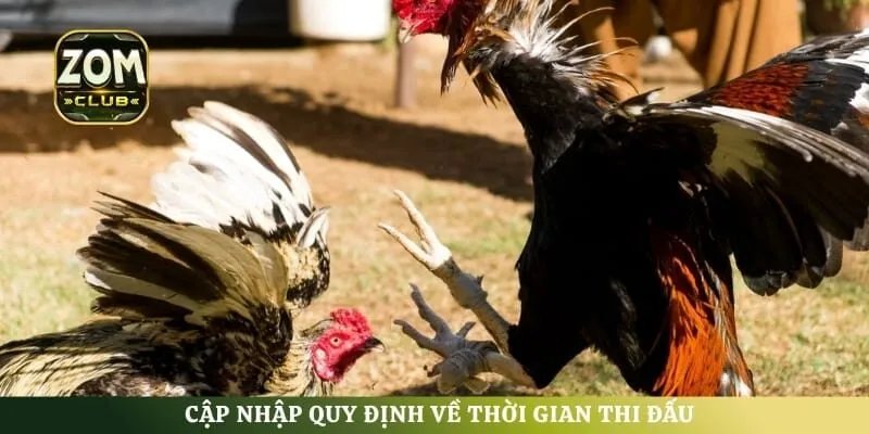 Cập nhập quy định về thời gian thi đấu
