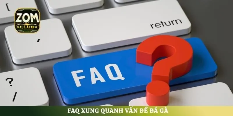 FAQ xung quanh vấn đề đá gà