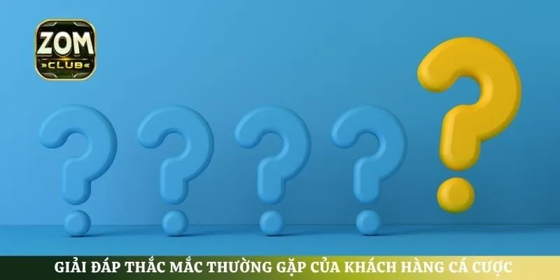 Giải đáp thắc mắc thường gặp của khách hàng cá cược