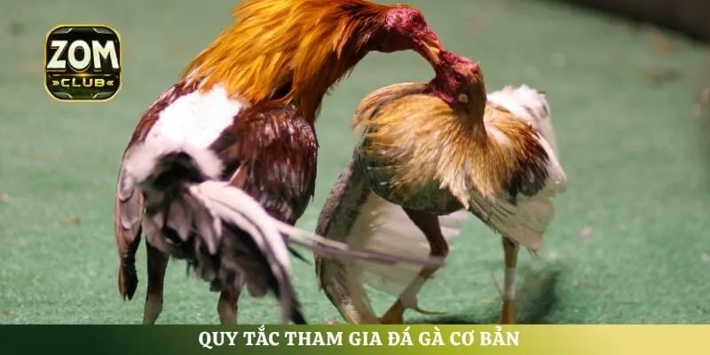Quy tắc tham gia đá gà cơ bản