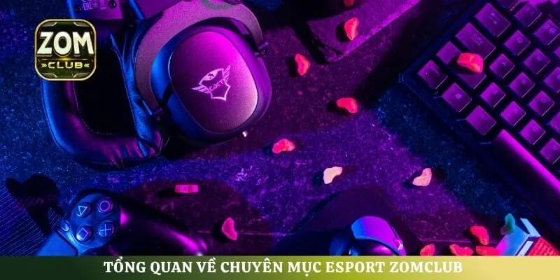 Tổng quan về chuyên mục Esport ZomClub