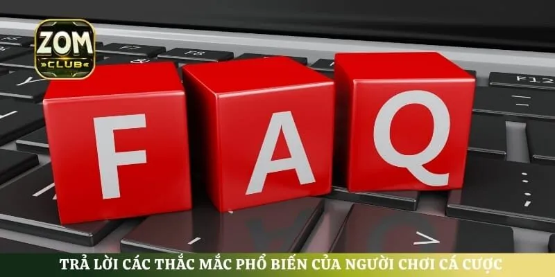 Trả lời các thắc mắc phổ biến của người chơi cá cược